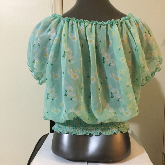 Bongo Chiffon Sheer Crop Top - Picture 3 of 5